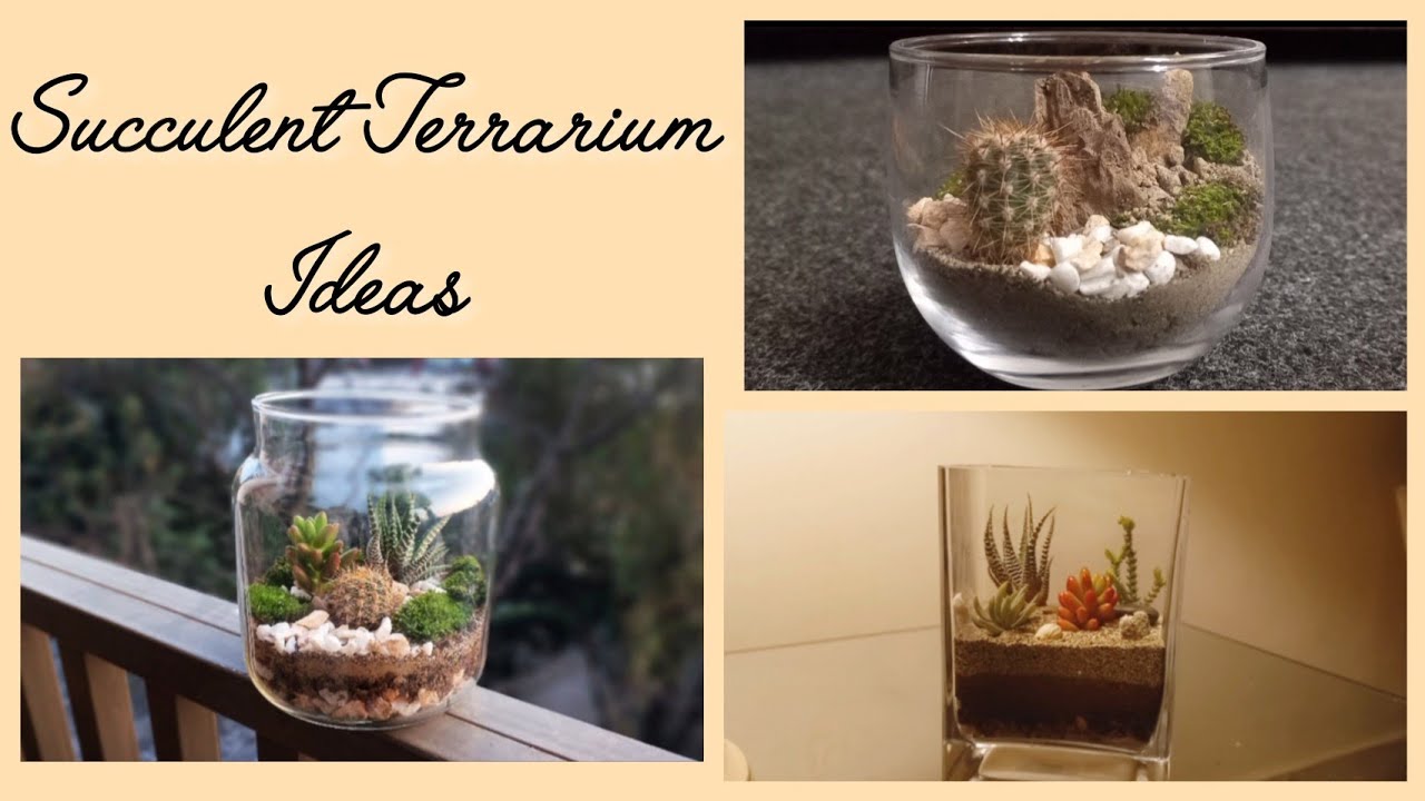 3 Succulent Terrarium Ideas | Succulent Tips For Beginners - Useful Tips For Succulents #Succulents 