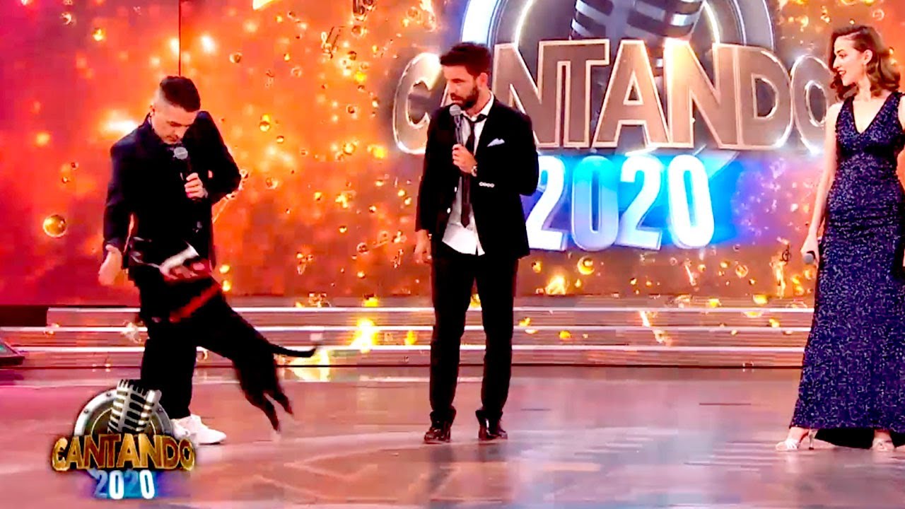 Marta, la perra de Cachete Sierra, le chocó los 5 a Ángel de Brito
