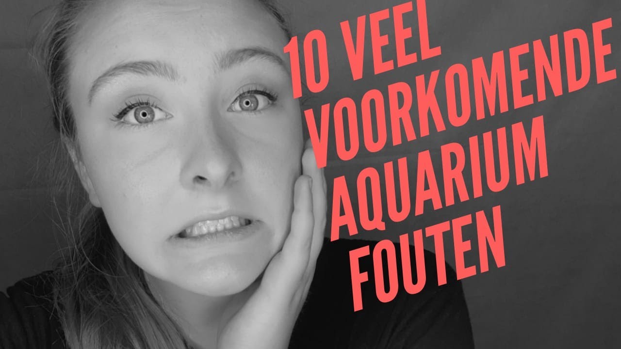 10 dingen die je nooit moet doen bij een aquarium
