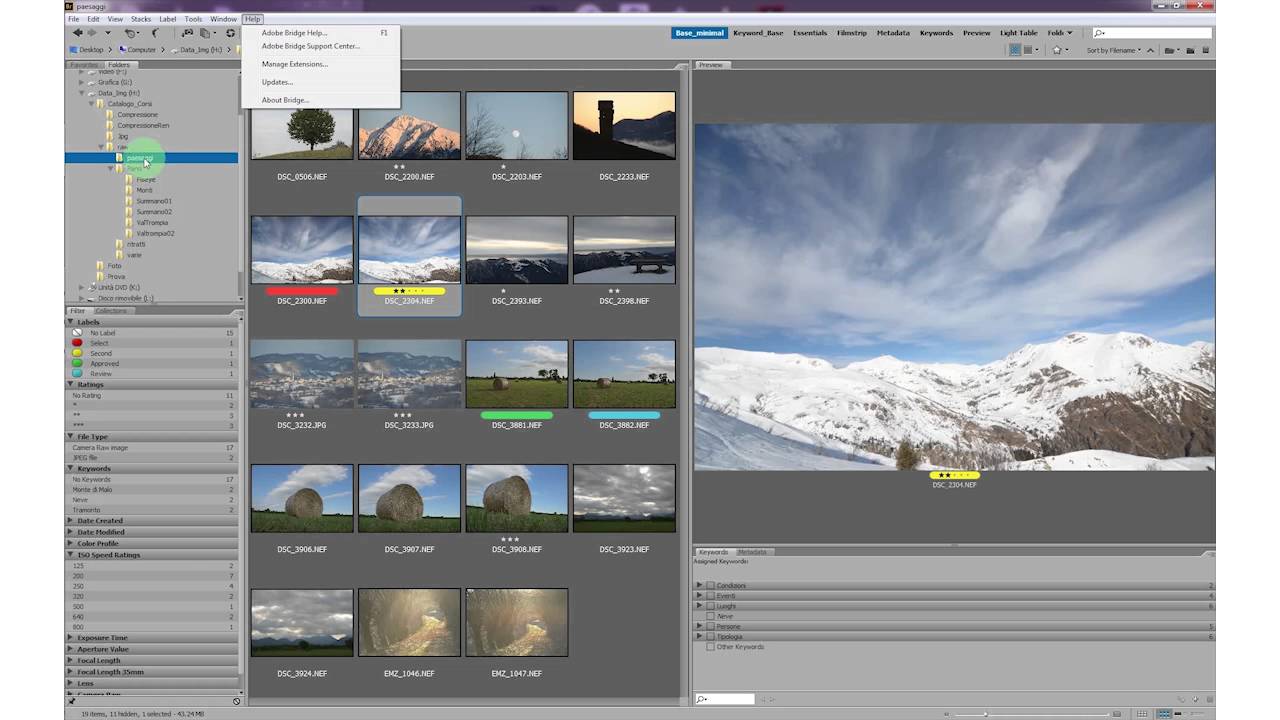 Adobe Bridge e Gestione File