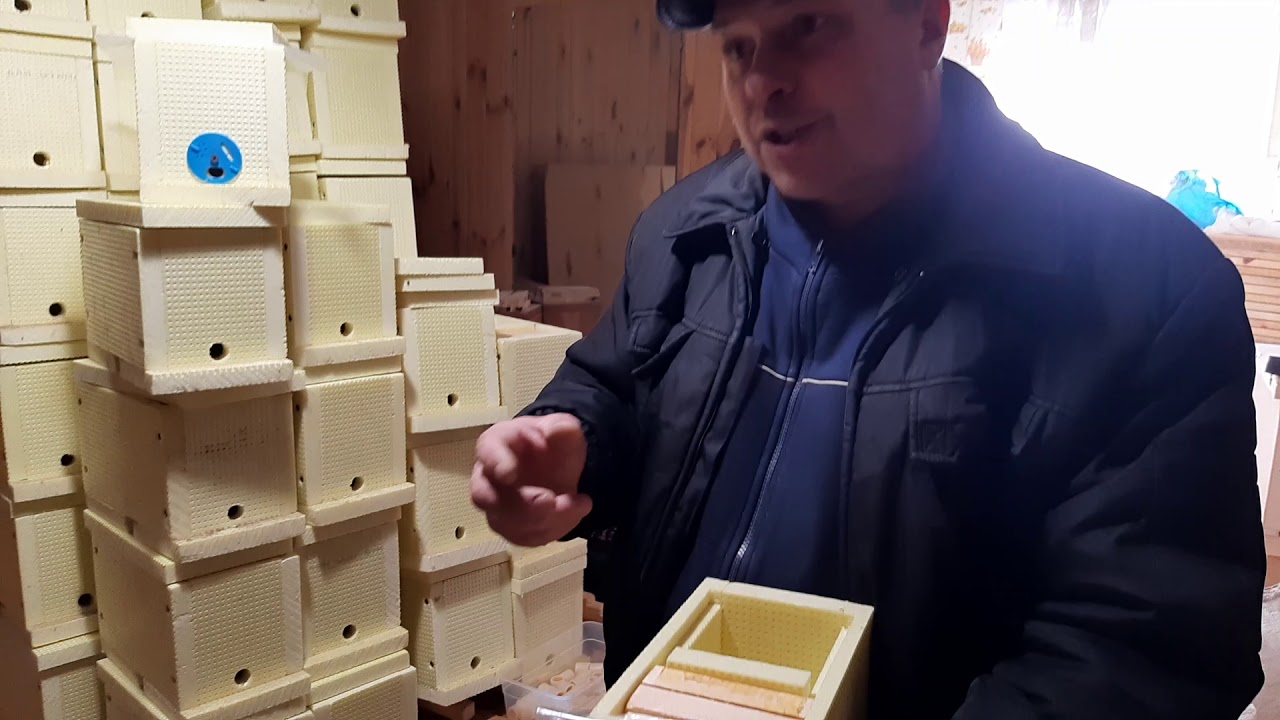 Вивід бджоломаток від А до Я, мої нуклеуси.