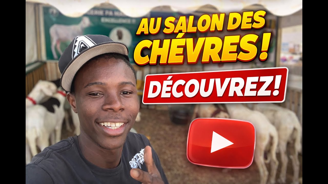 😍🐄 Incroyable Foire d’Élevage à Ziguinchor 🇸🇳 | Éleveurs, bétail et passion ❤️