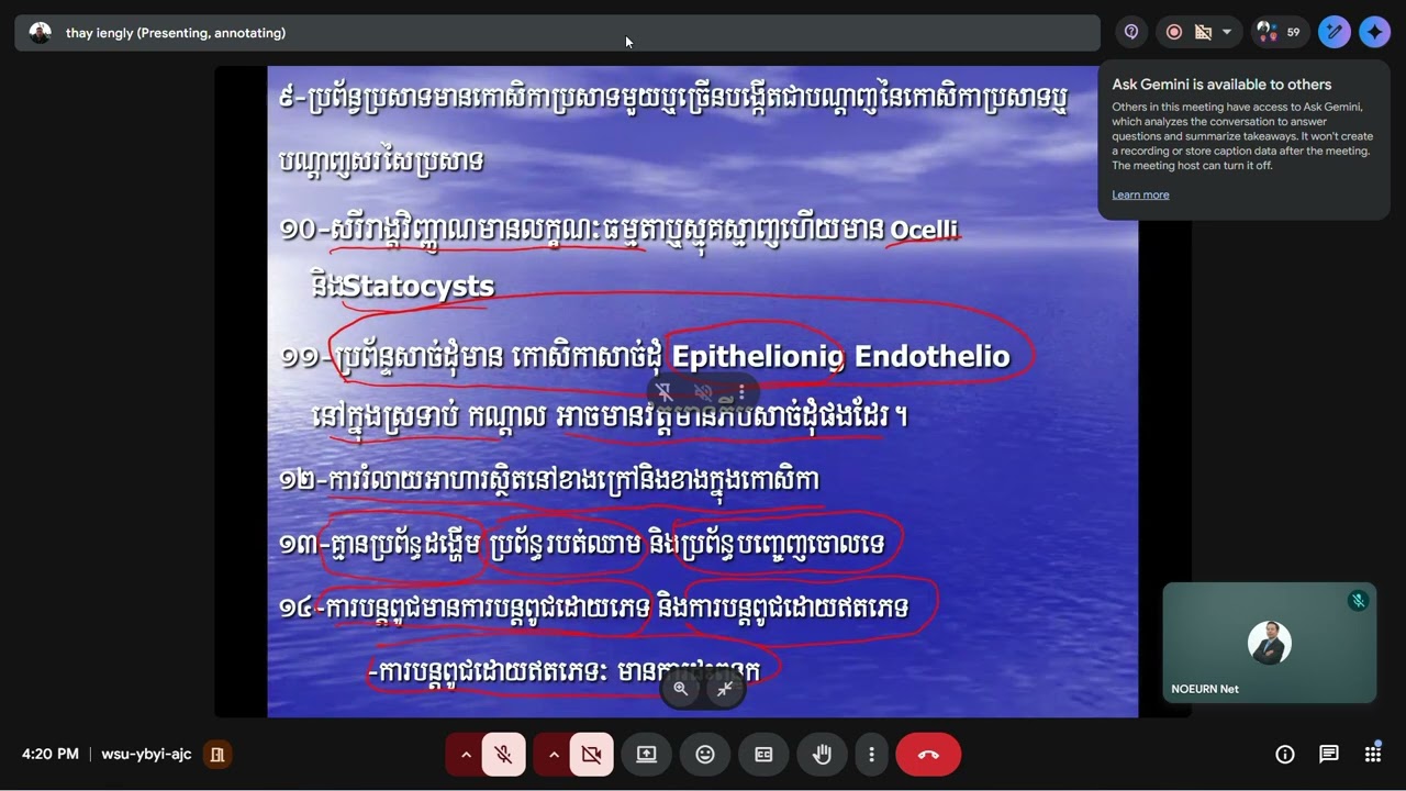 អ្នកស្រឡាញ់មុខវិជ្ជា ជីវ មើលវីដេអូនេះ មិនខុសបំណងនោះទេ។