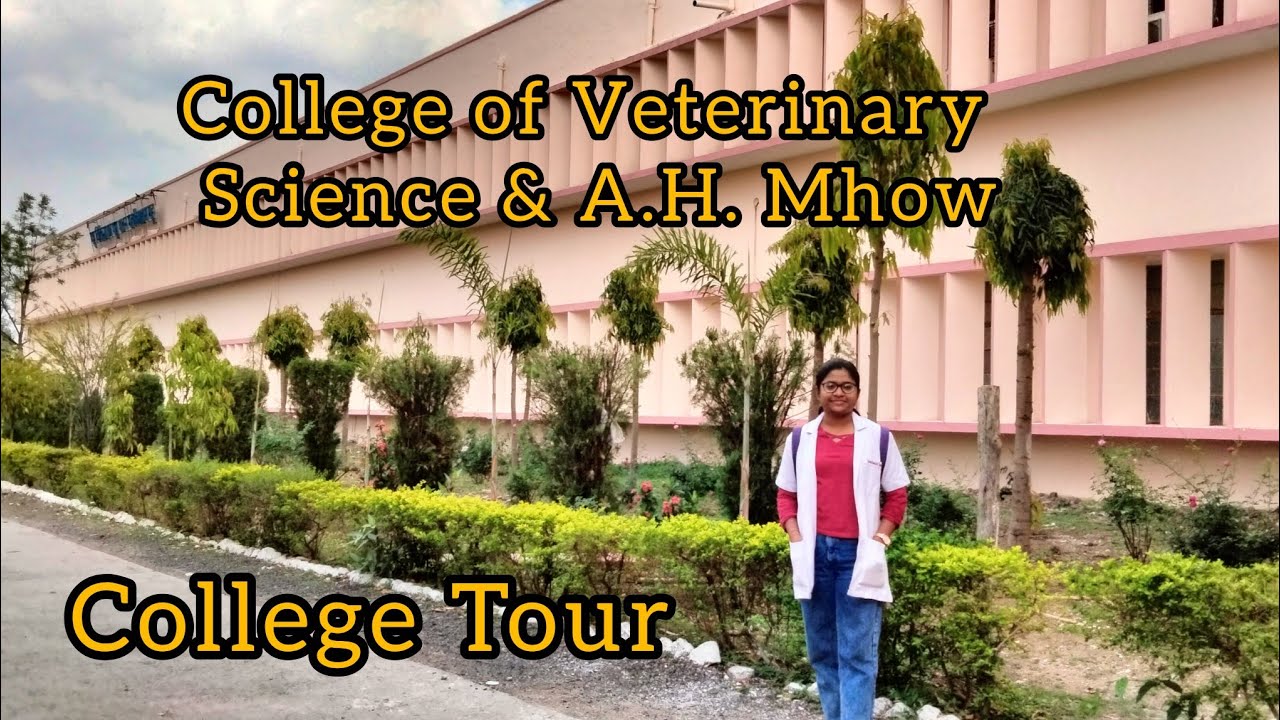 My College Tour|VETERINARY COLLEGE MHOW|College of Veterinary Sci.&A.H.Mhow,M.P.|Government college📚