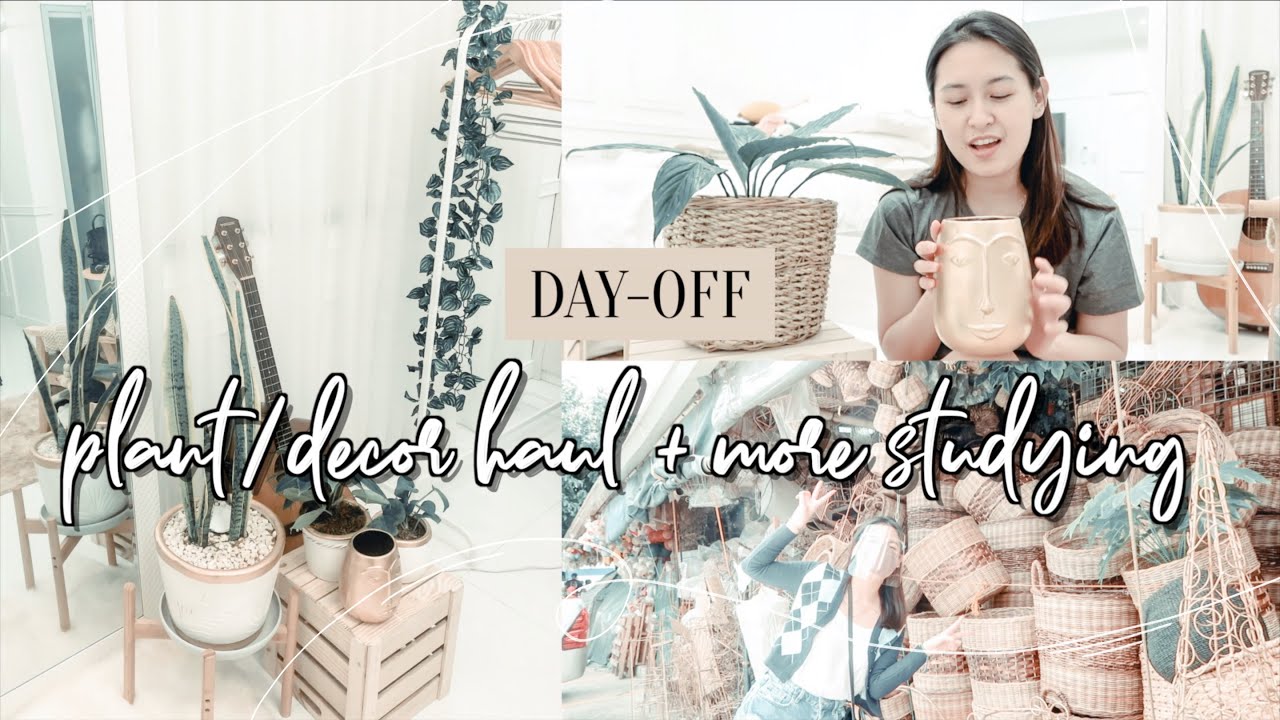 A MED STUDENT'S DAY OFF: MINI PLANT & DECOR HAUL + MORE STUDYING (Philippines) | Shayne Uy