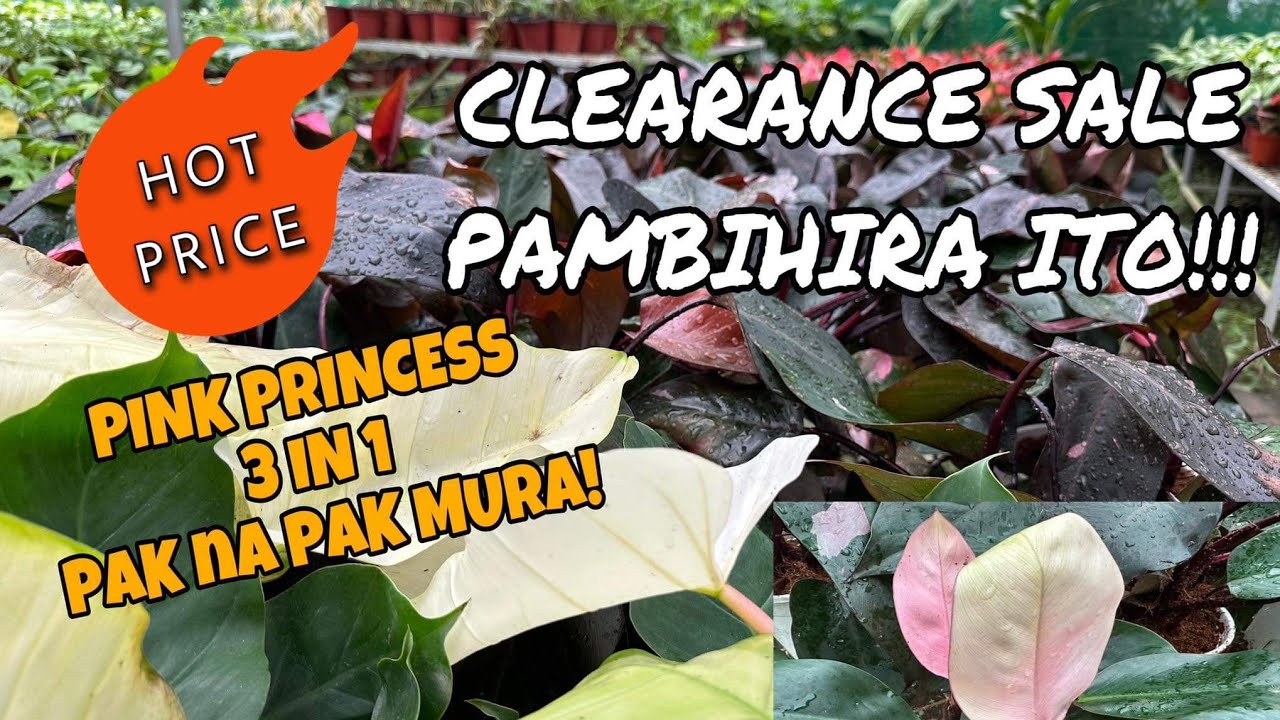 CLEARANCE SALE PAMBIHIRA LANG ITO/4 IN 1 AT 5 IN 1 PATOK MURA!!!