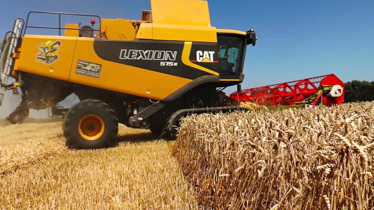 Cat Lexion 575 R Weizen Dreschen 2013 - MVideo #15