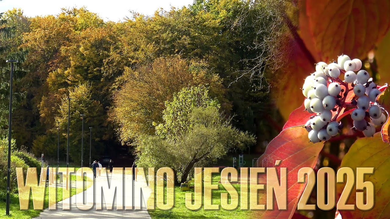 Gdynia Witomino | Jesień 2 Dni | Październik 2025