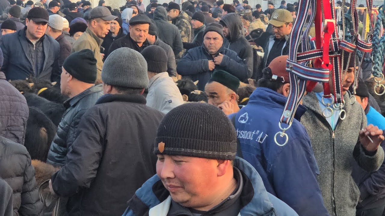 Izboskan Chuvama Mol Bozor Narxlari  Bozorda Narxlari Zur Buldi 