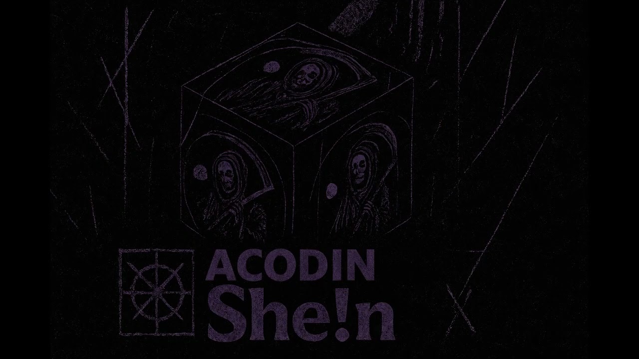 She!n - ACODIN (pord. davegotbeats🎵)