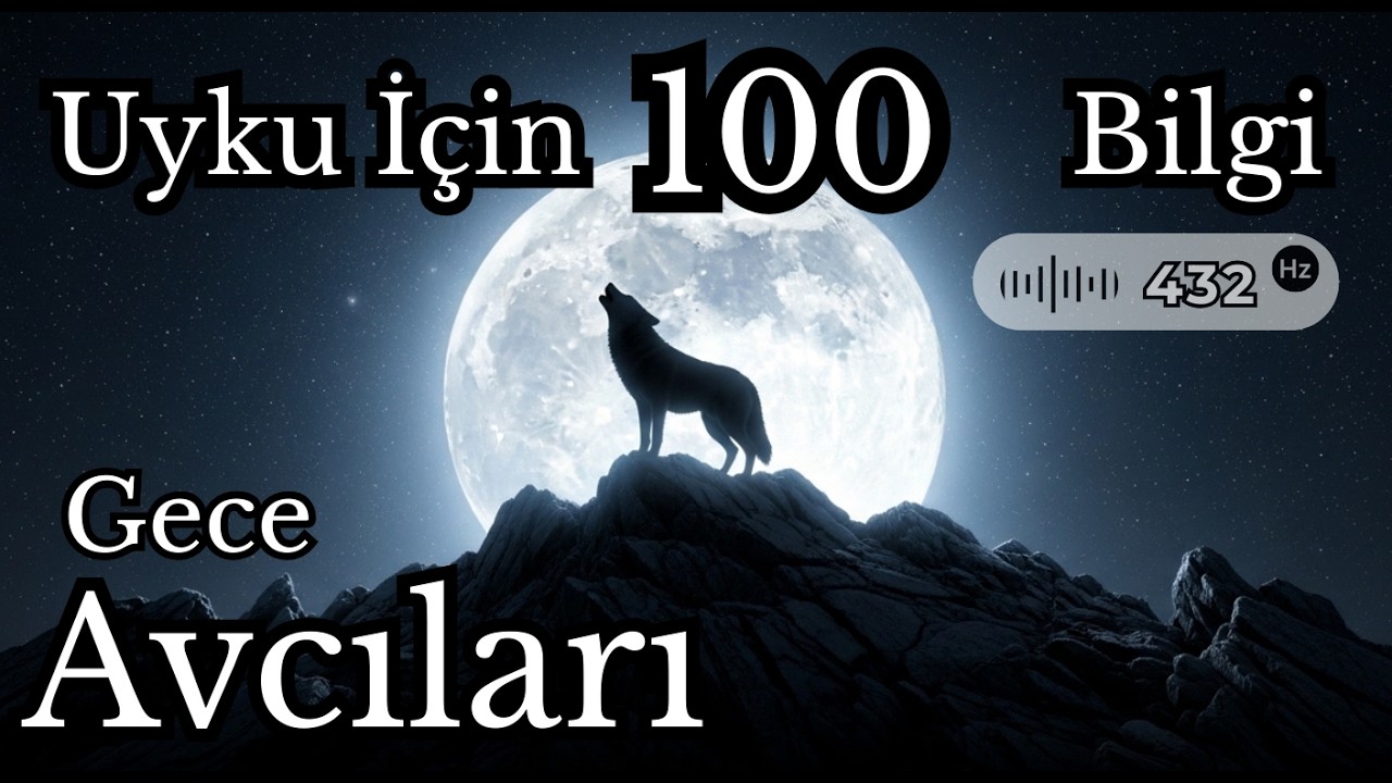 Gece Hayvanları: Kurtlar, Baykuşlar, Yarasalar  | Uyku İçin Bilim
