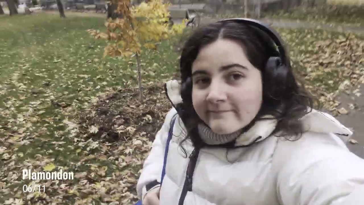Vlog 2   Novembre