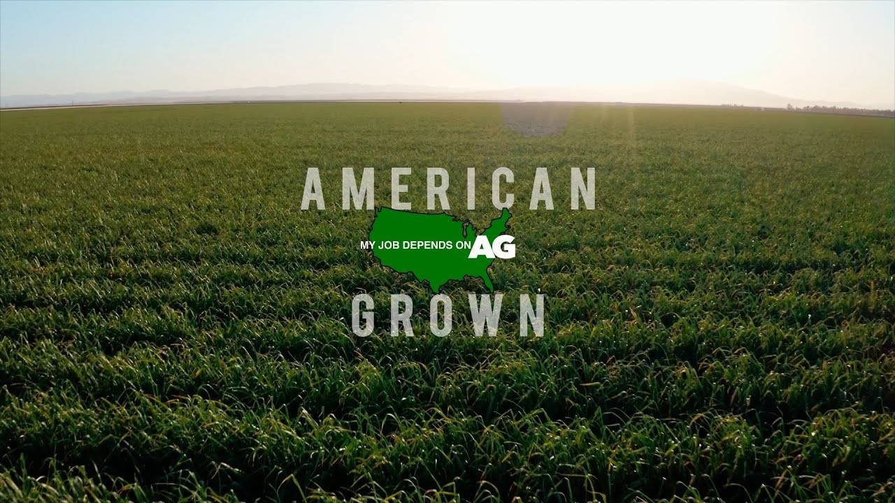 American Grown: My Job Depends on Ag | Garlic