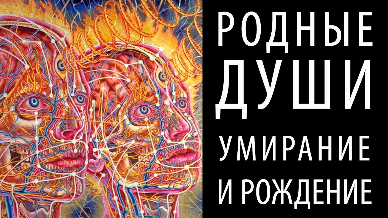 О том, как встреча с Родной Душой приводит к умиранию старого и рождению новой жизни (Андрей Ханса)