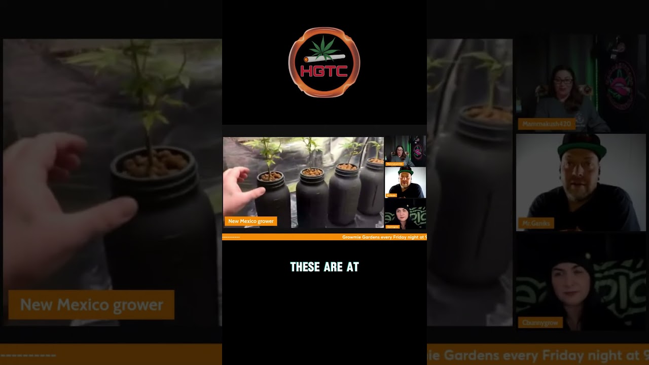 DIY Kratky Method     #garden #community #gardening #chat #indoorgardening #homegrown