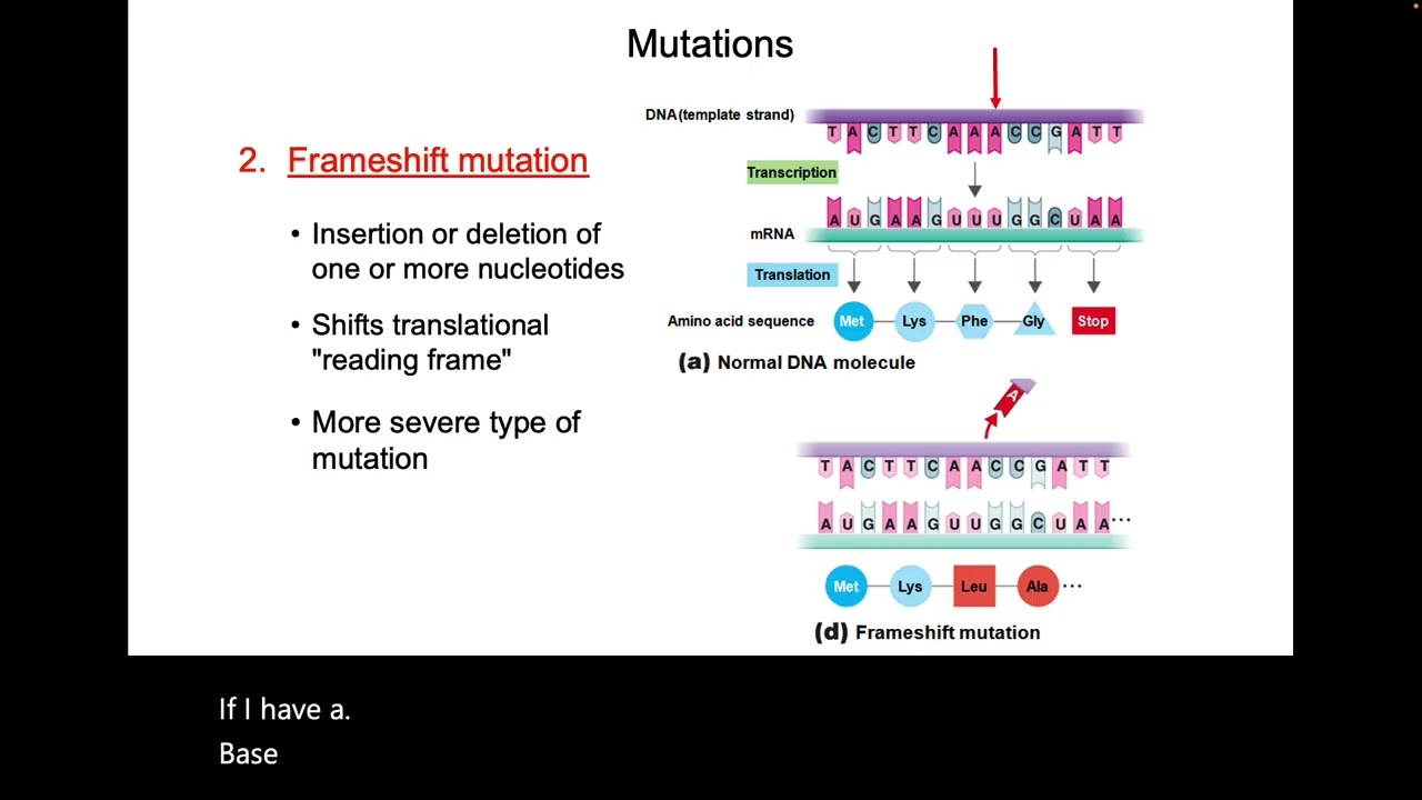 MBIO 0312