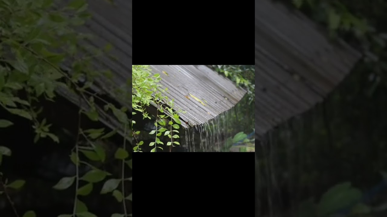 Heavy rain with relaxation music | Pacifying Nature | @Soothing Relaxation 