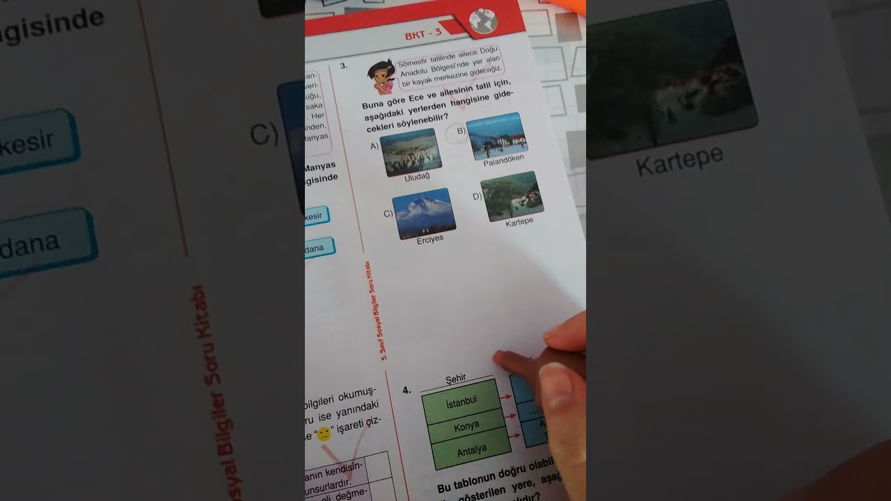 sosyal bilgiler test