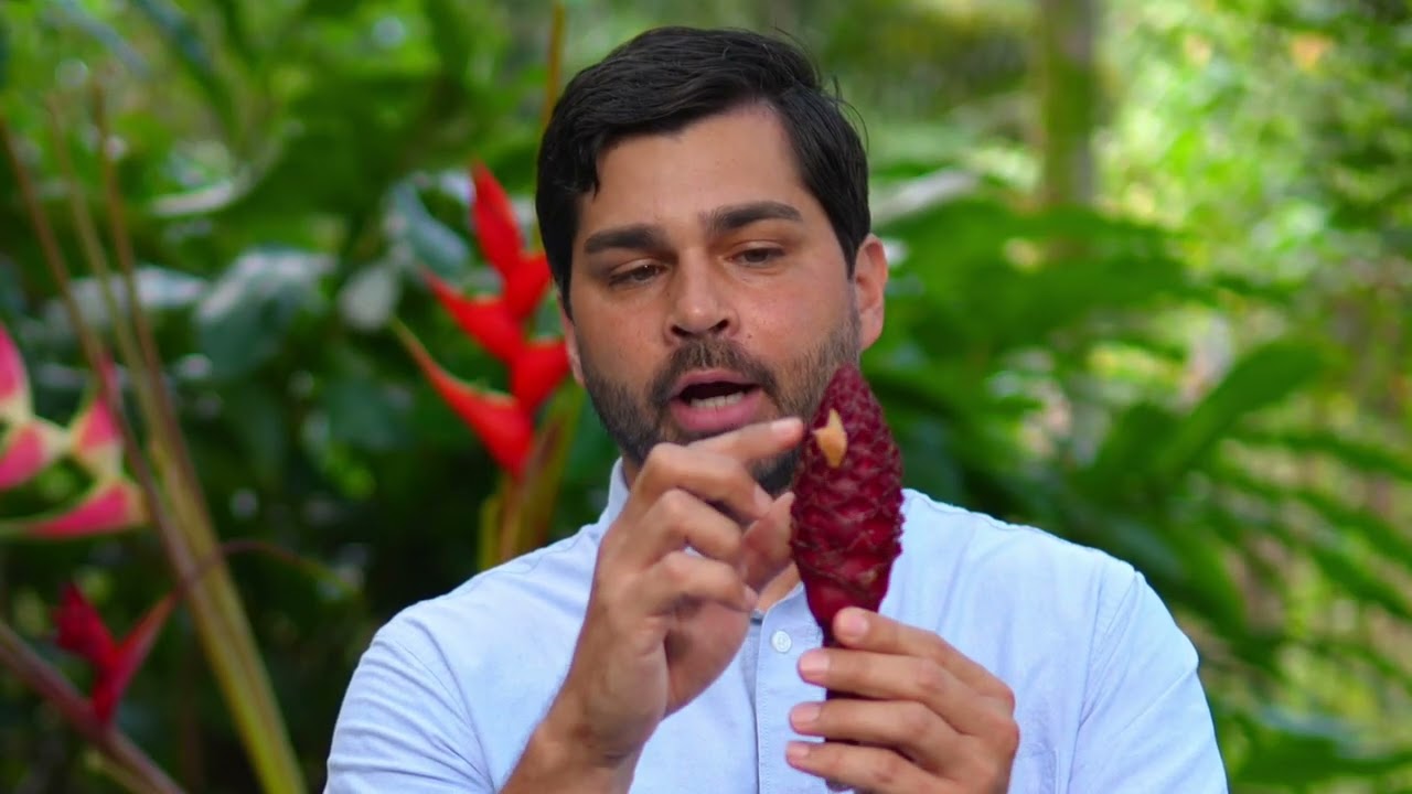 Tropicals Grown in Hawaii (2024)