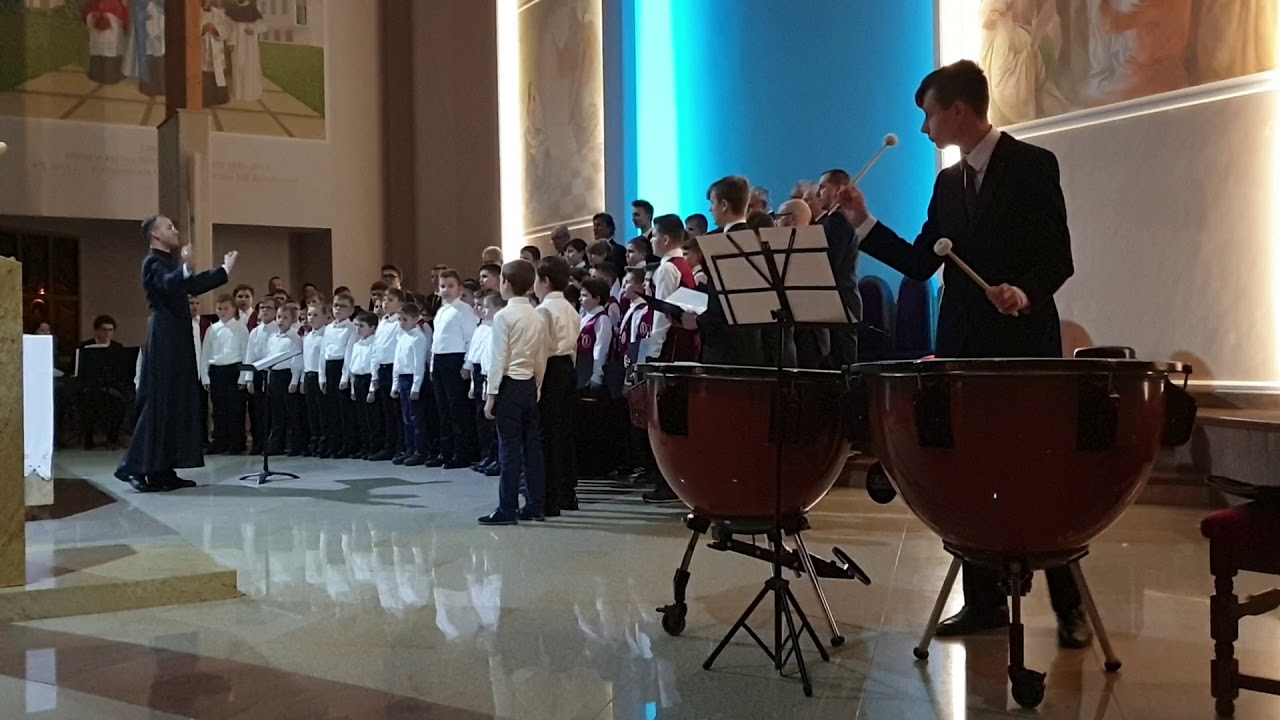 Da Pacem Domine - Dominik Lasota