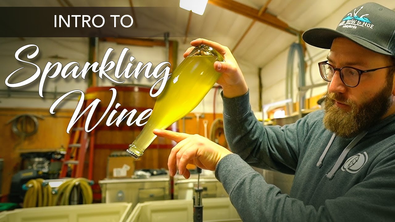 Learn the Basics of Sparkling Wine Production