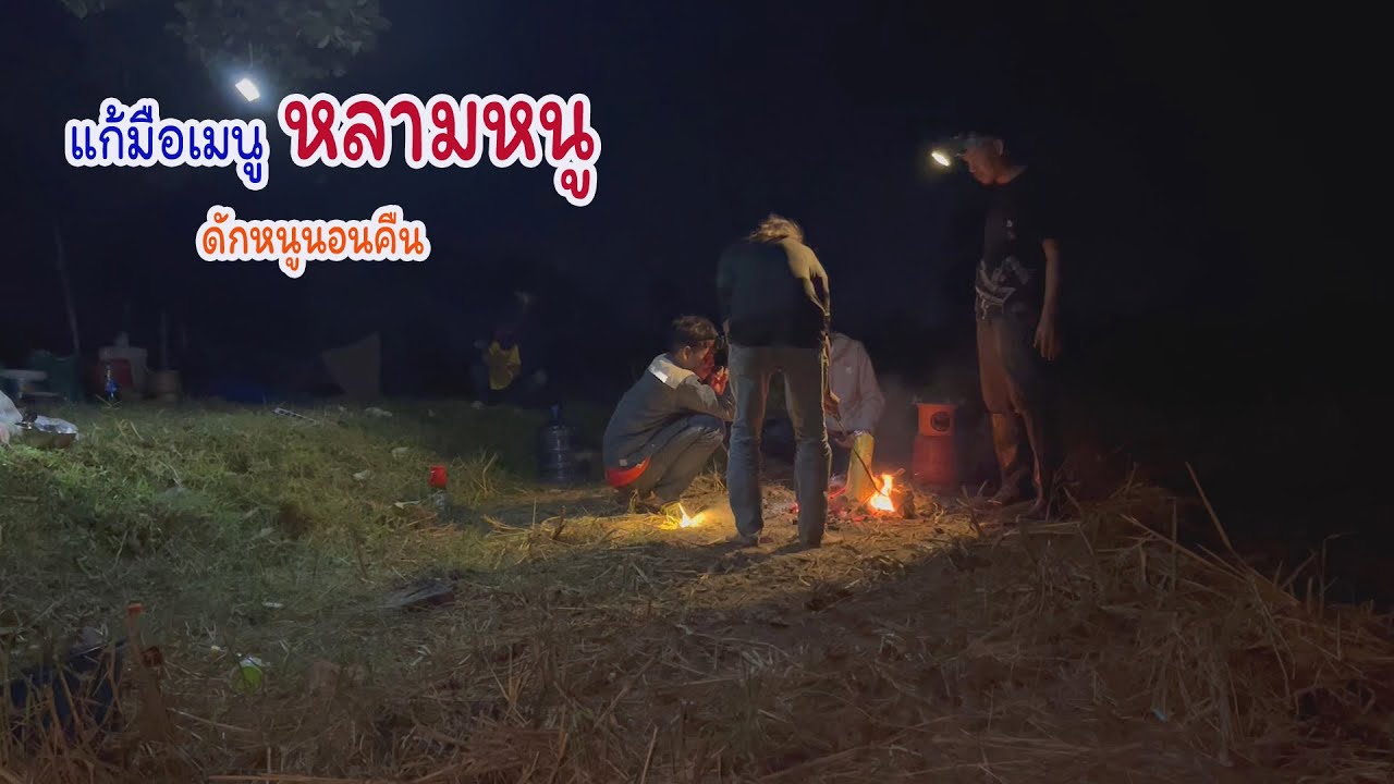 หลามหนูกลางทุ่งที่อาจสามารถ ดักหนูนอนคืนหมายข้างทาง
