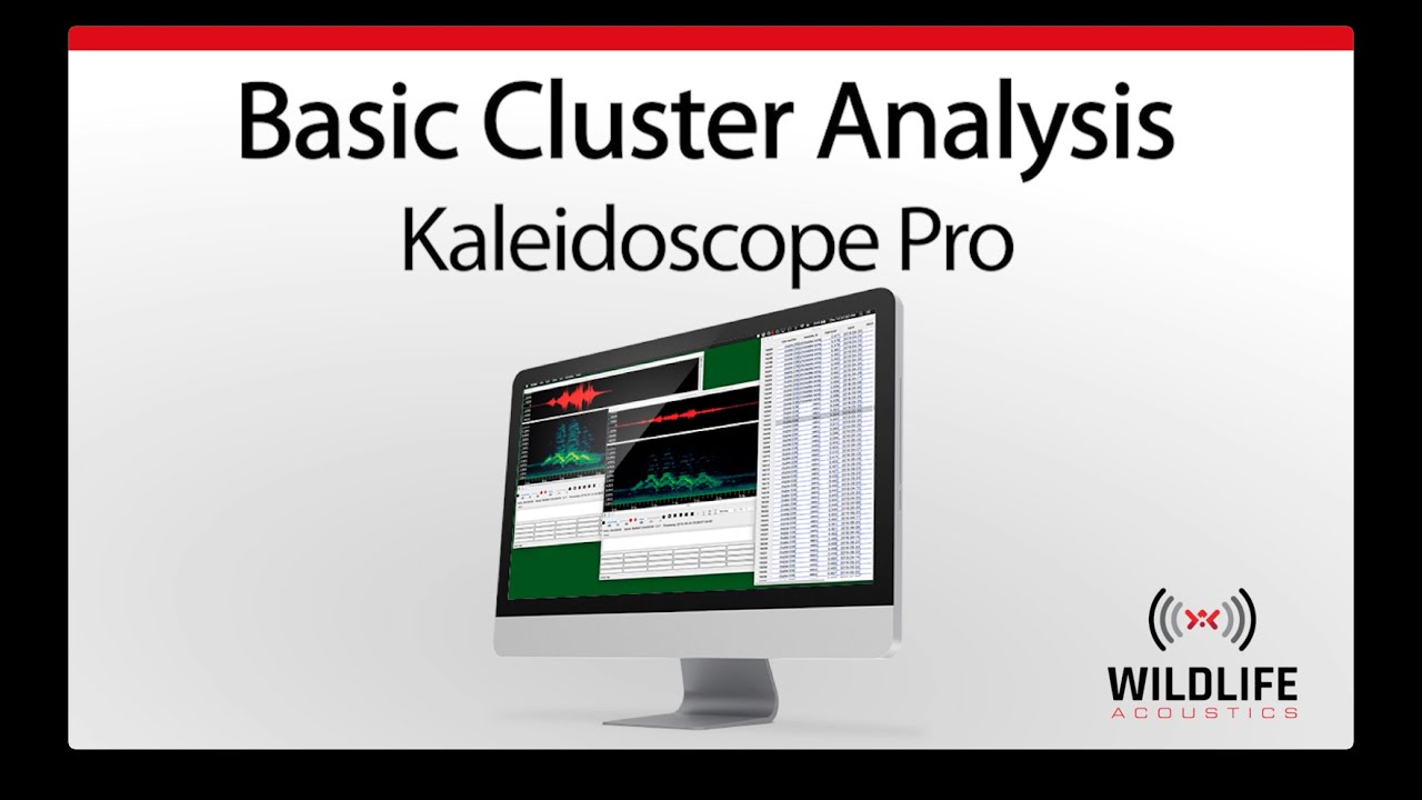 Kaleidoscope Pro: Basic Cluster Analysis | Identify and Analyze Animal Sounds