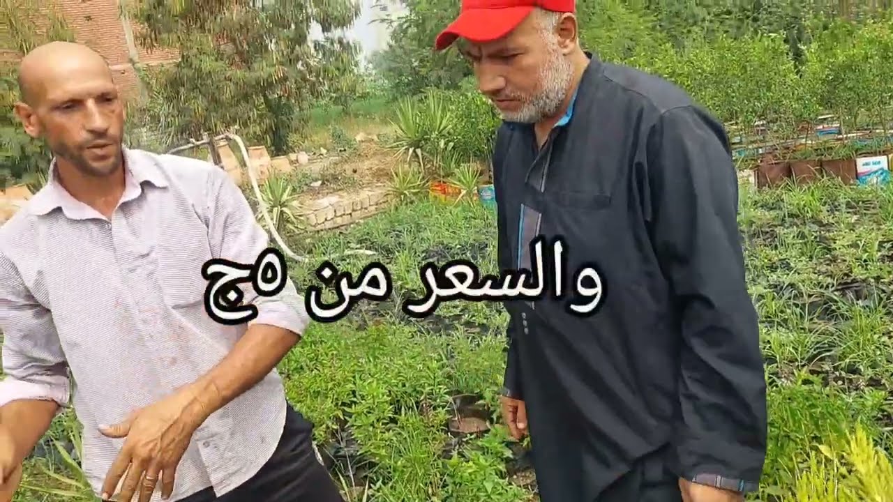 جولة في مشتل القط من ٥ جنية