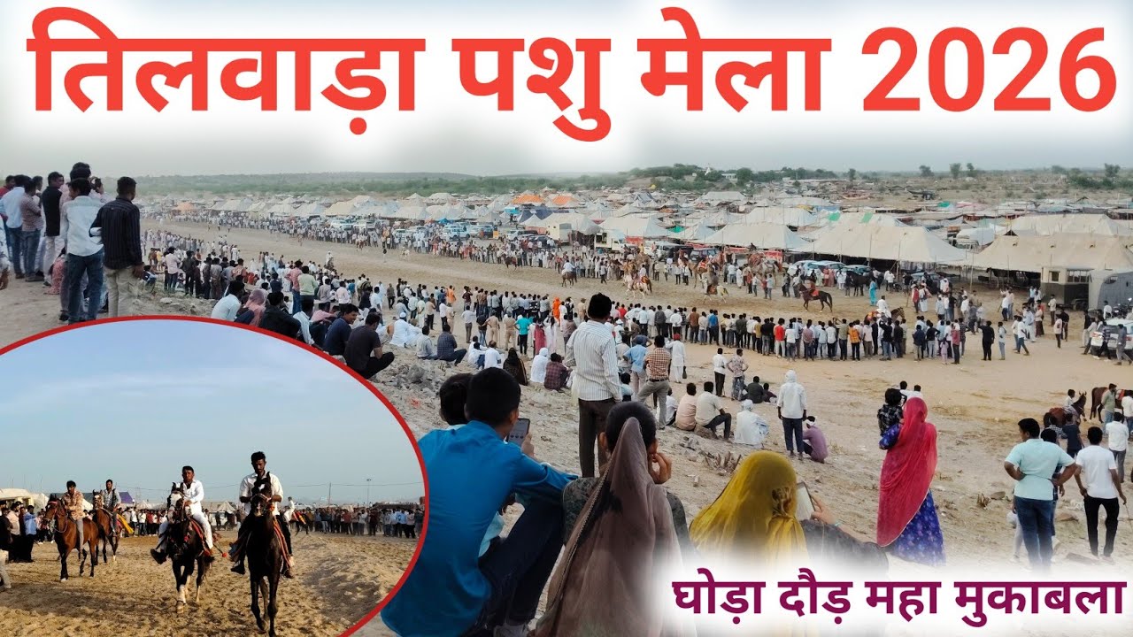 तिलवाड़ा पशु मेला घोड़ा दौड़ महा मुकाबला दशकों का मैदान झूम उठा tilwada pashu mela 2026
