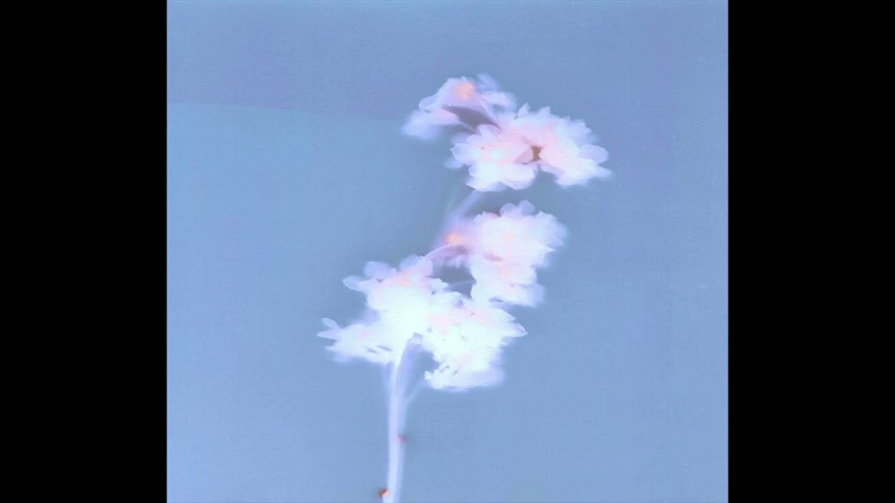 ✰free// 