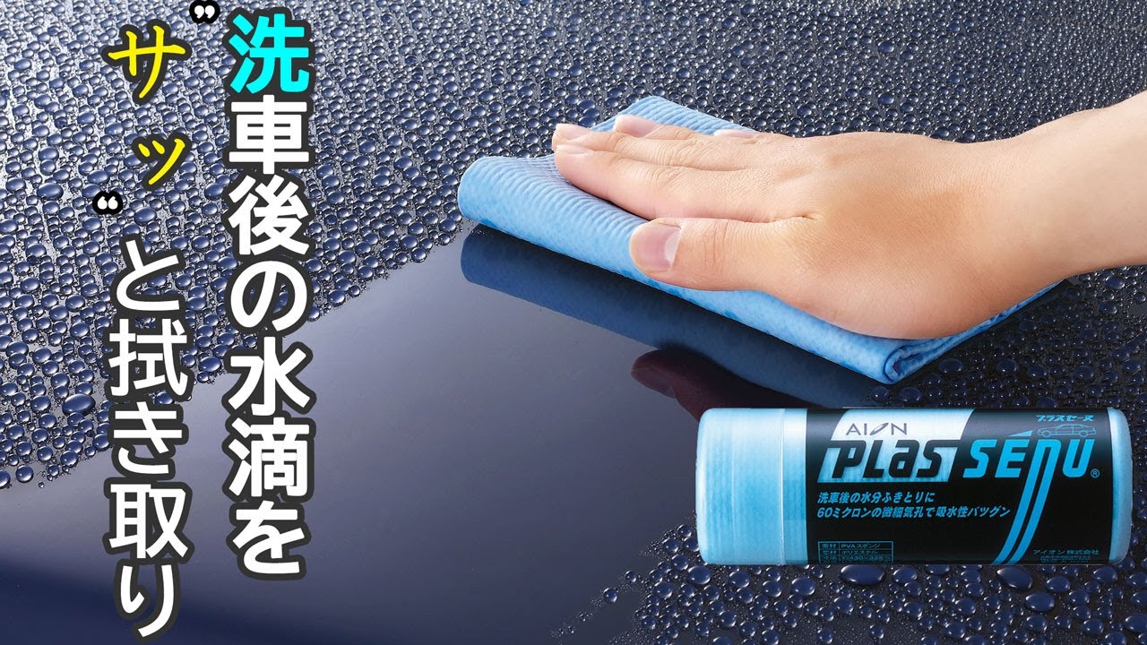 プラスセーヌ【アイオン株式会社】
