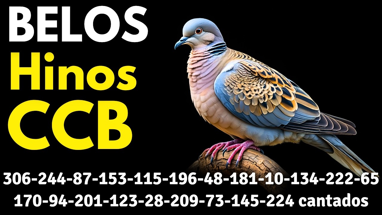 HINOS CCB 306-244-87-153-115-196-48-181-10-134-222-65-170-94-201-123-28-209-73-145-224 cantados