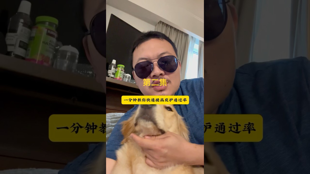 揭秘：快速提高政治庇护通过率？！#政治庇护#特赦#绿卡