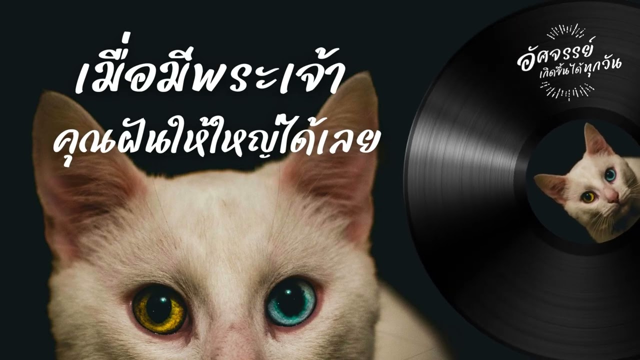 เมื่อมีพระเจ้า คุณฝันให้ใหญ่ได้เลย | อัศจรรย์เกิดขึ้นได้ทุกวัน Day879