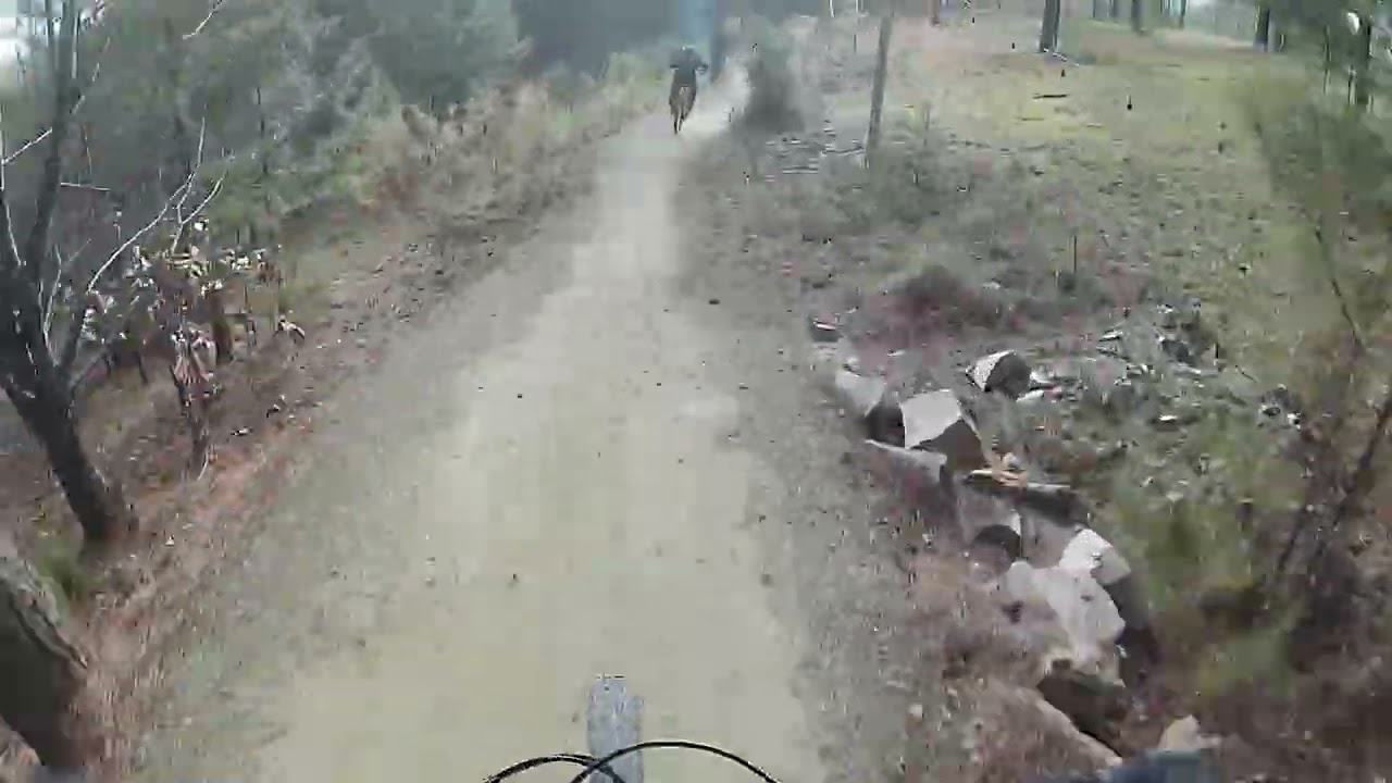 Rattlesnake bike park trails 