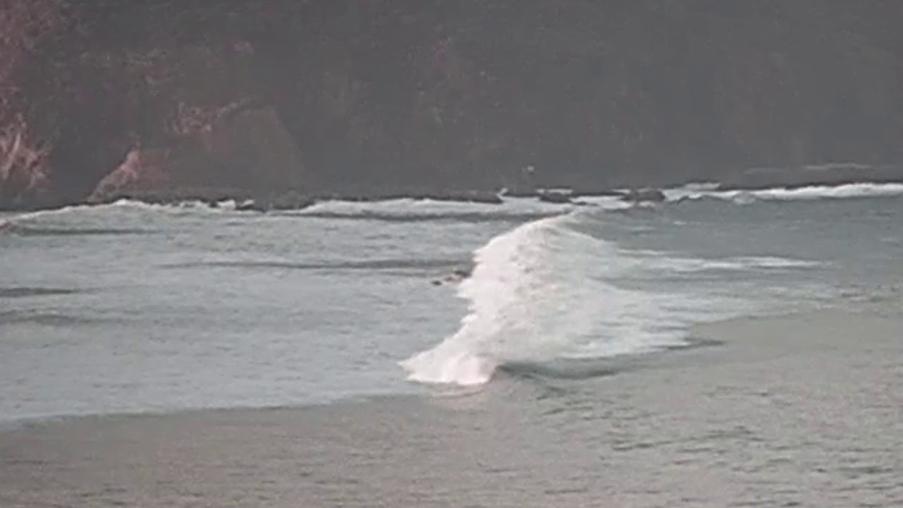 Bodies hitting the floor at the Tomales Bay bar