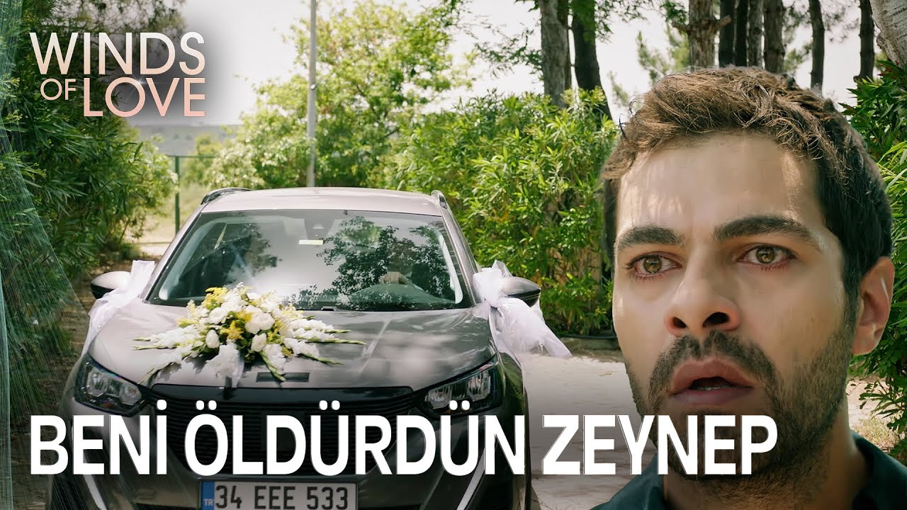 Halil Gelin arabasının arkasından bakıyor | Rüzgarlı Tepe 129.Bölüm
