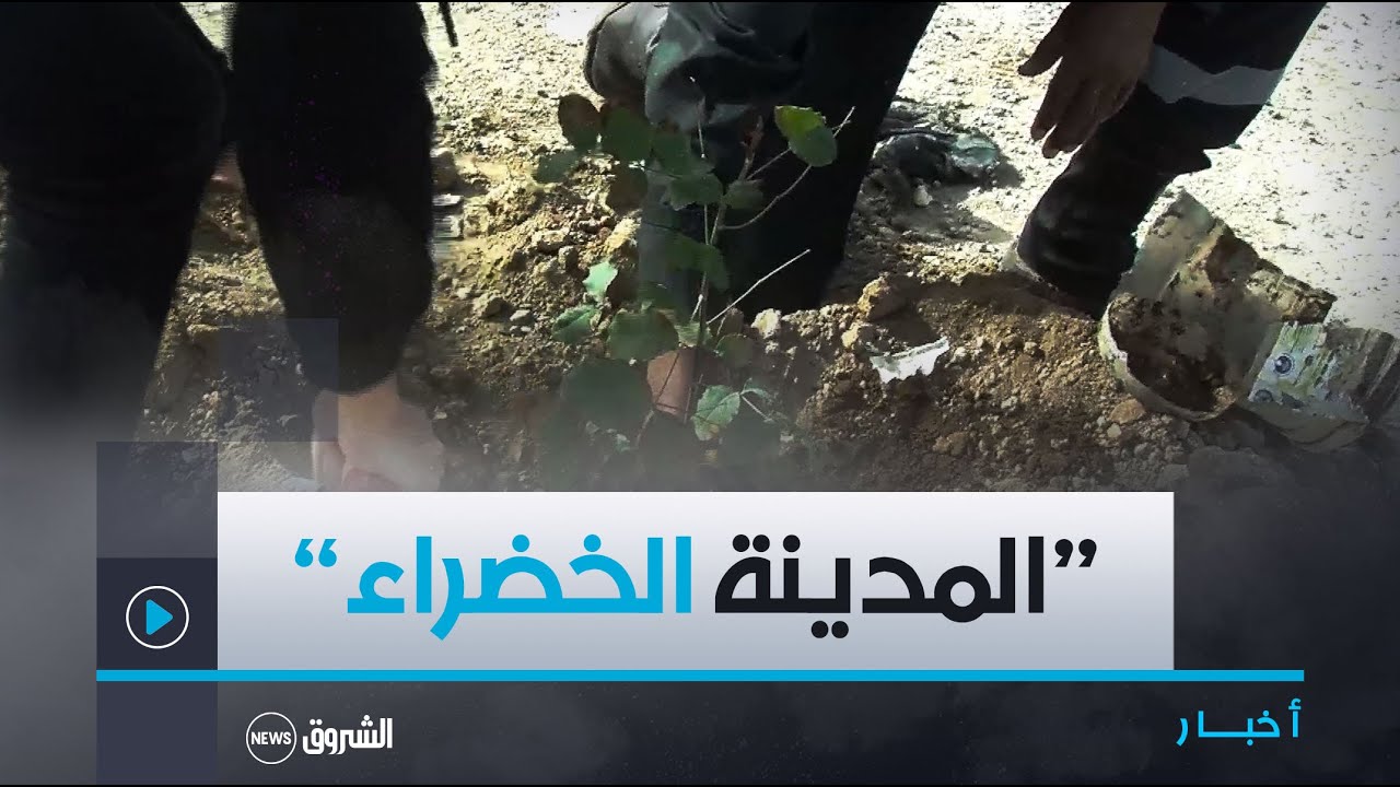 #سيدي_بلعباس| 