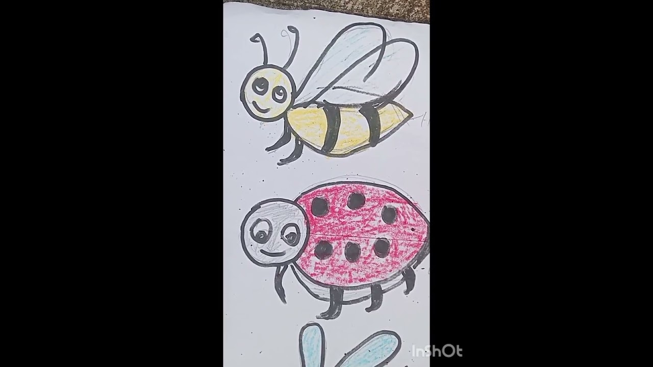 About Insects 