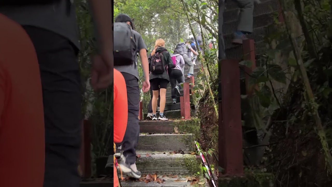 Discover Mossy Forest of Gunung Irau #hiking #travel #malaysia