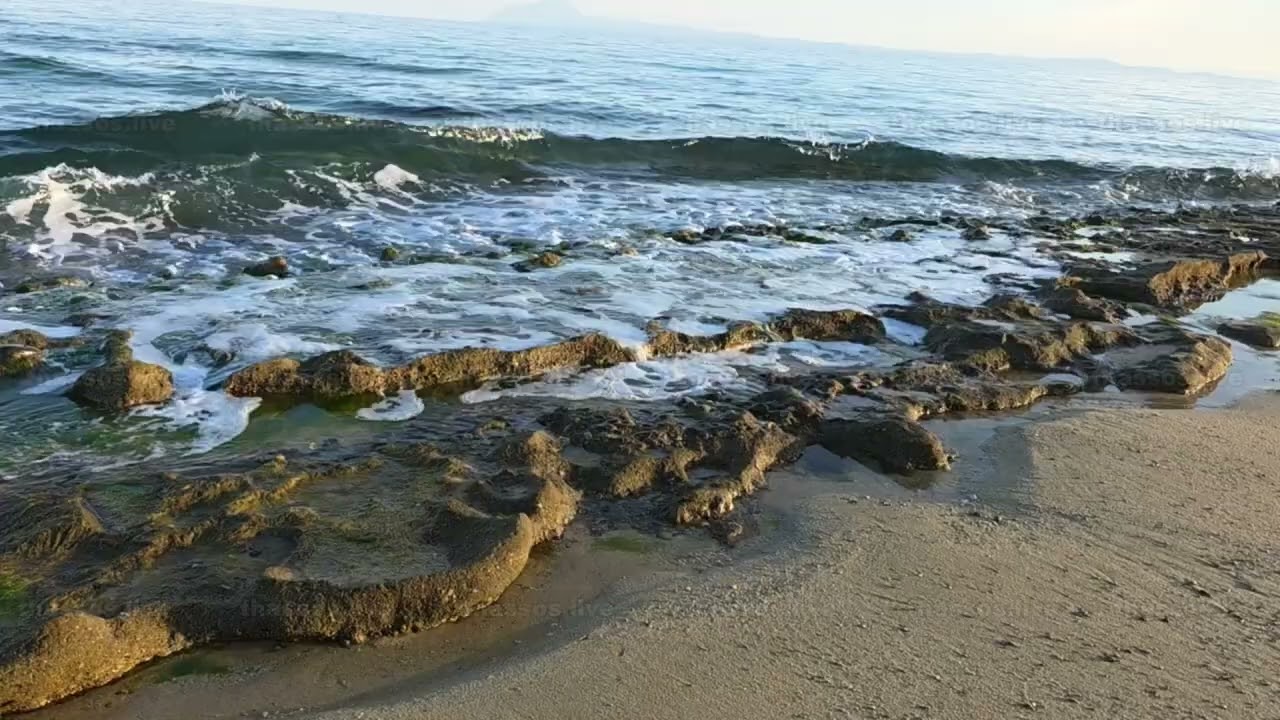 Άμπωτη - Παραλία Φωλιάς