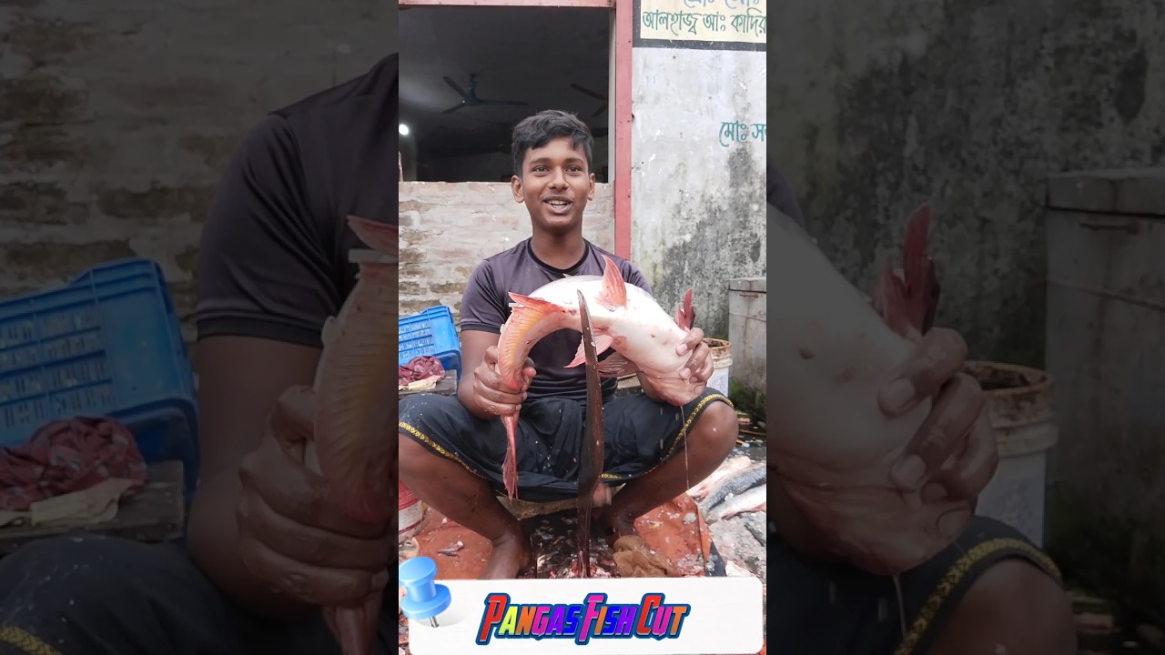 Amazing Great Delicious Pangas Fish Cutting Techniques | Fish Cutting Skills