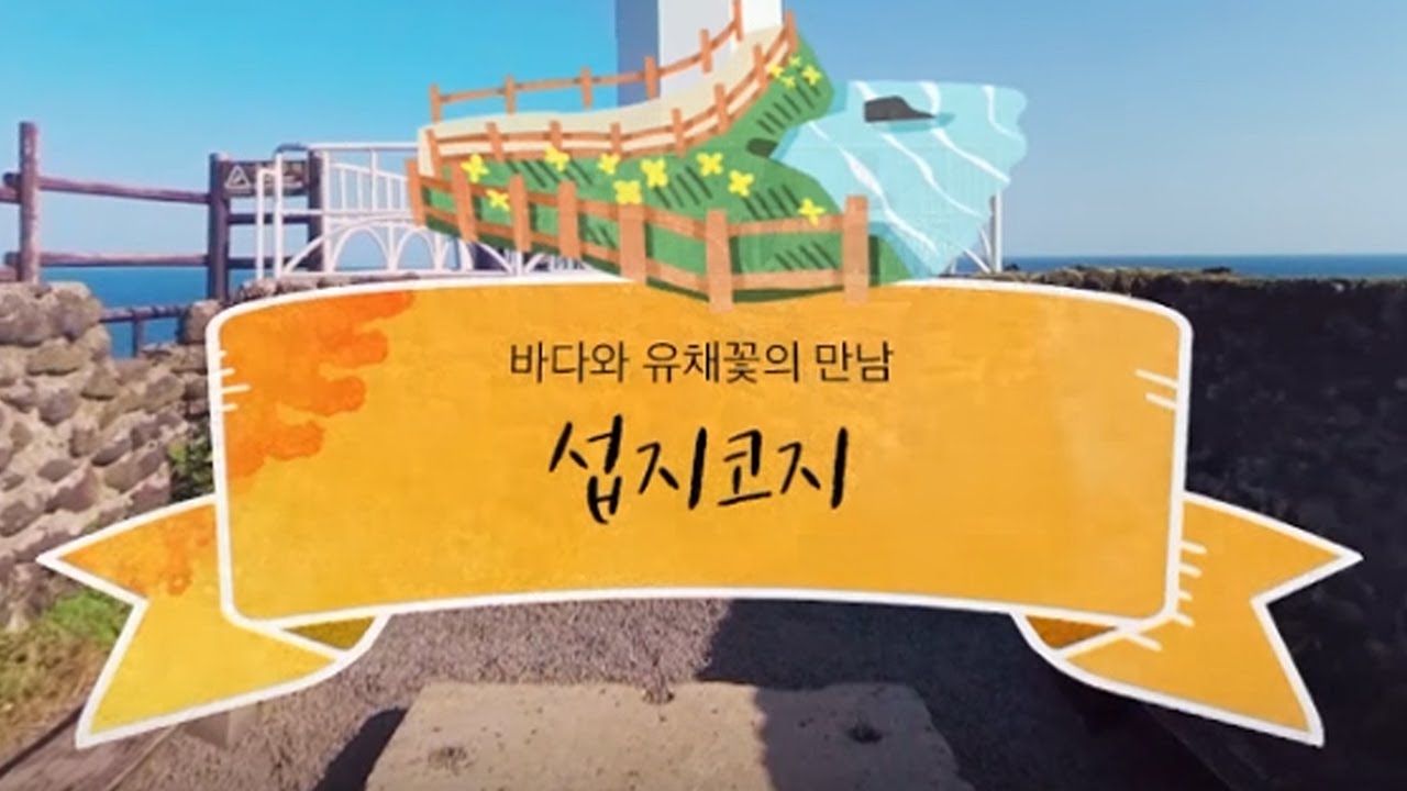 [360 VR영상] 제주도 대표 여행지! 섭지코지를 VR로 감상하세요!