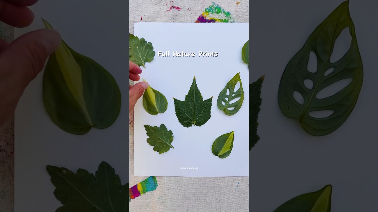 Make beautiful fall nature art prints! 🍁🍂 #fallcrafts #falldiy