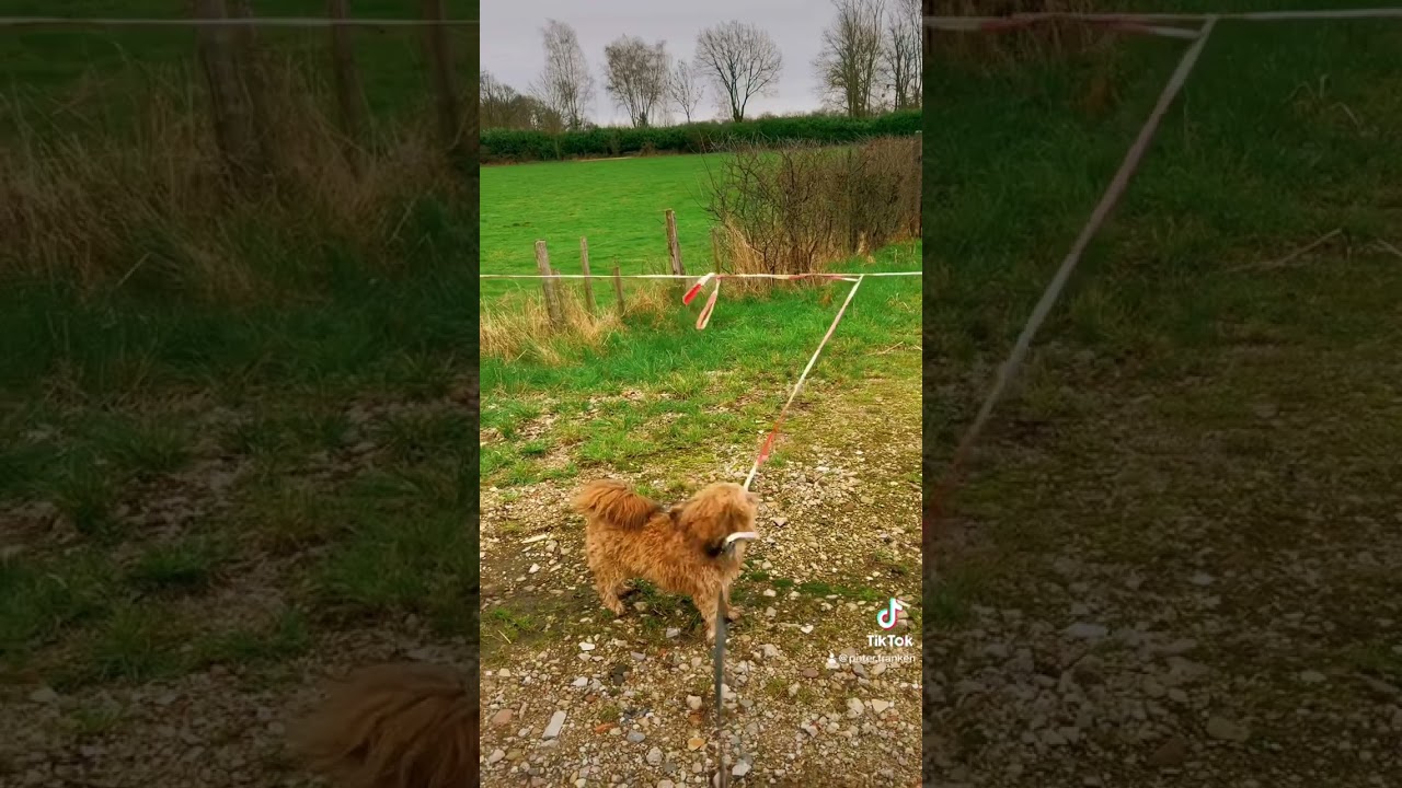 Grote Wandeling Ulestraten - Maastricht-Airport - Schietecoven