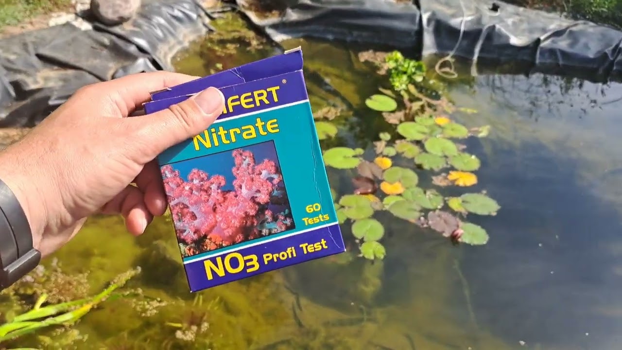 Filtr Fluval FX6 w oczku wodnym