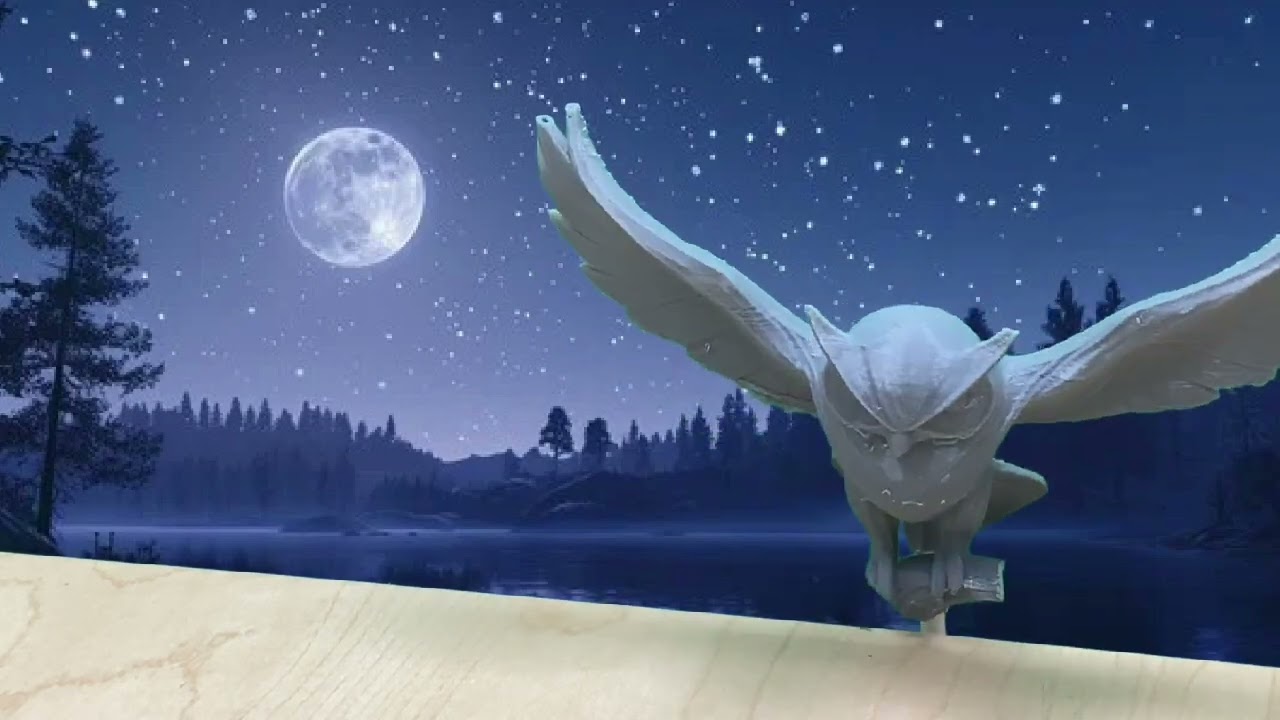 Western Screech Owl's Journey to Fessenden - Henry C., Connor J. & Andrew W's Adaptations Project