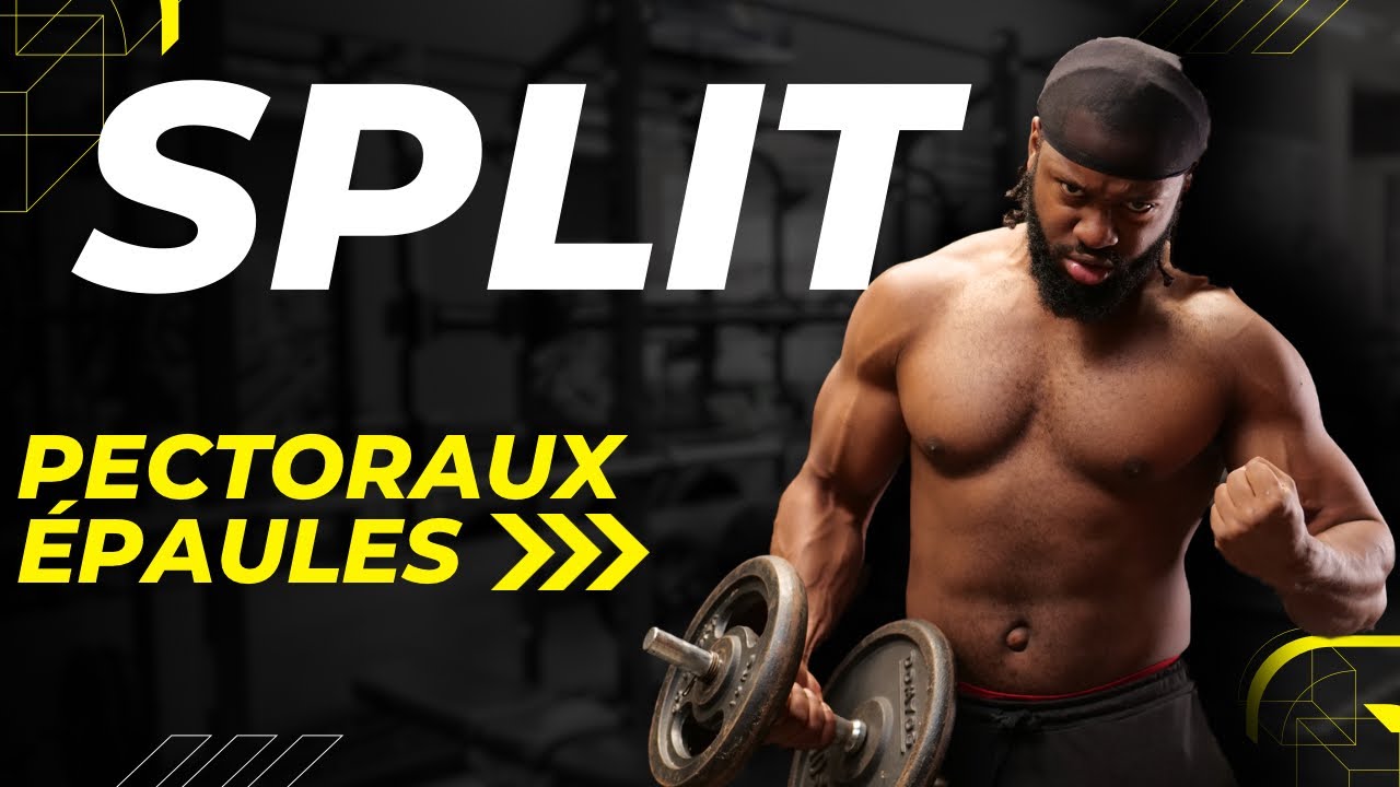 PROGRAMME PECTORAUX EPAULES EN SALLE (SPLIT)