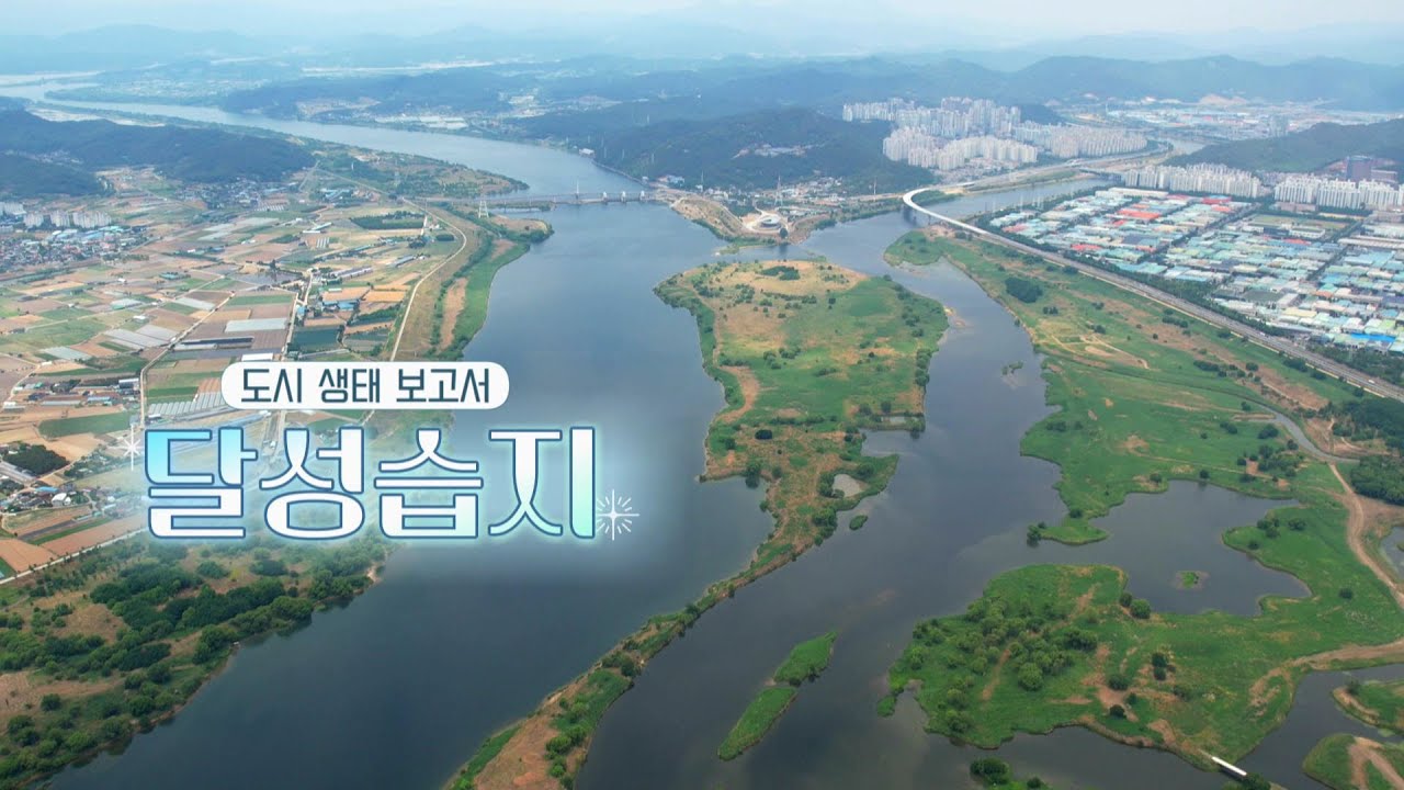 도시 생태 보고서, 달성습지