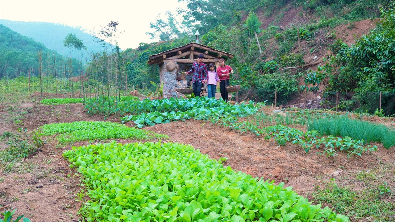 How Do One Family Live At Foot Mountains | Traditional Gardening: Life Few People Still Maintain